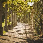 Alojamento de Turismo Rural Casa Da Cerca Sortelha