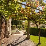 Alojamento de Turismo Rural Casa Da Cerca Sortelha