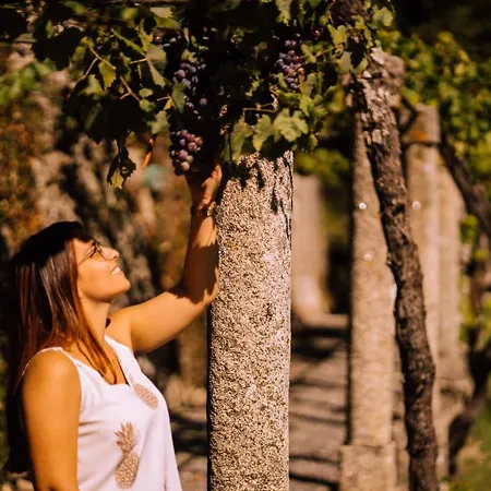 Casa Da Cerca * Sortelha