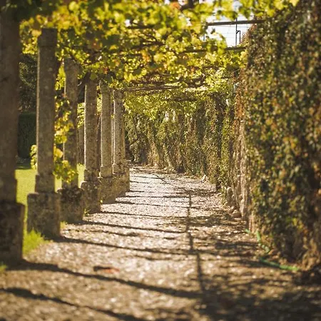Alojamento de Turismo Rural Casa Da Cerca Sortelha