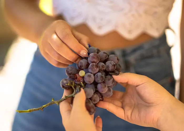 Farm stay Casa Da Cerca *